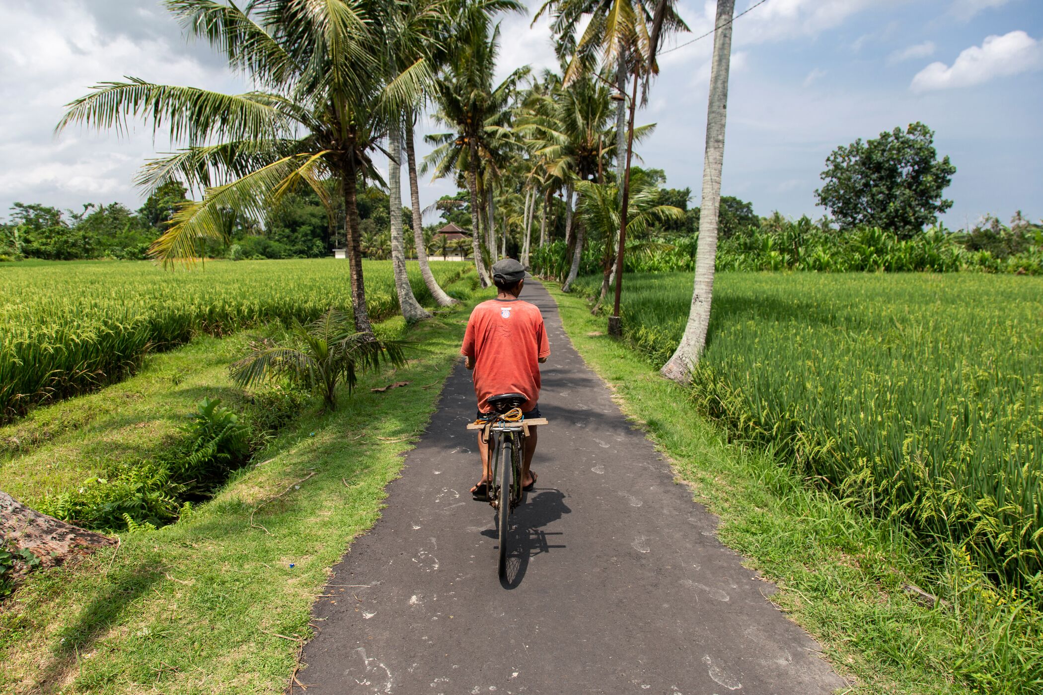 En mann som sykler på en vei i Ubud, Bali. Foto.