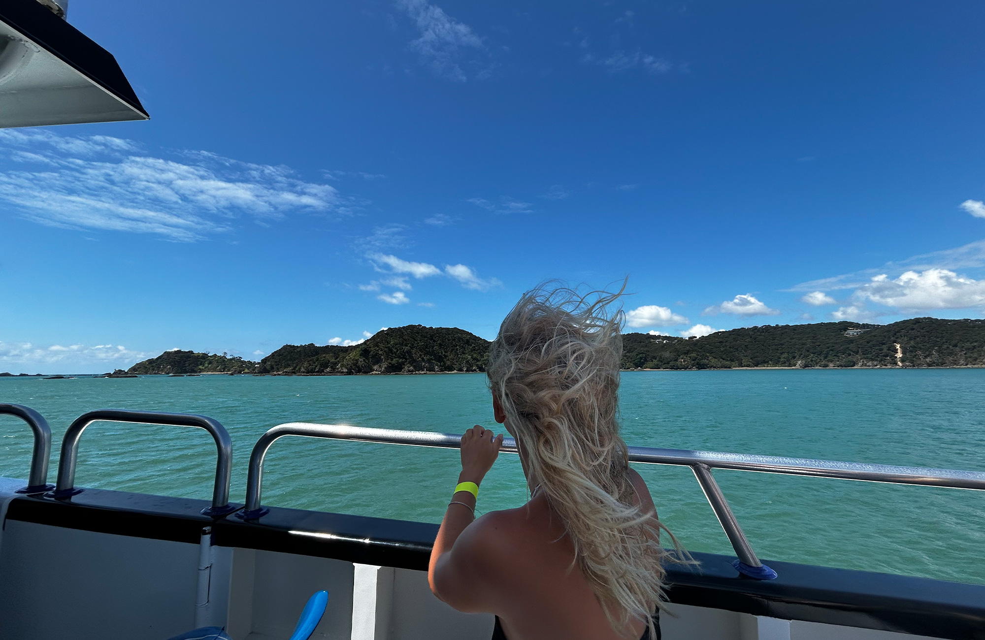 New Zealand North Island Boat