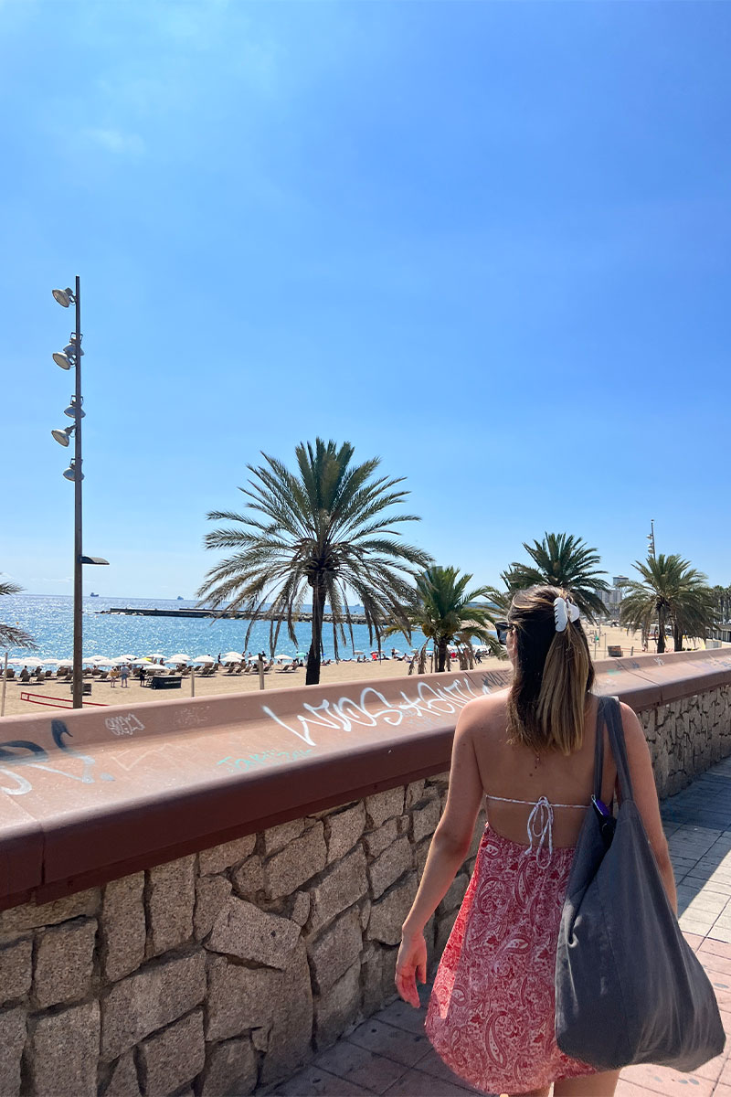 Studier i Barcelona
