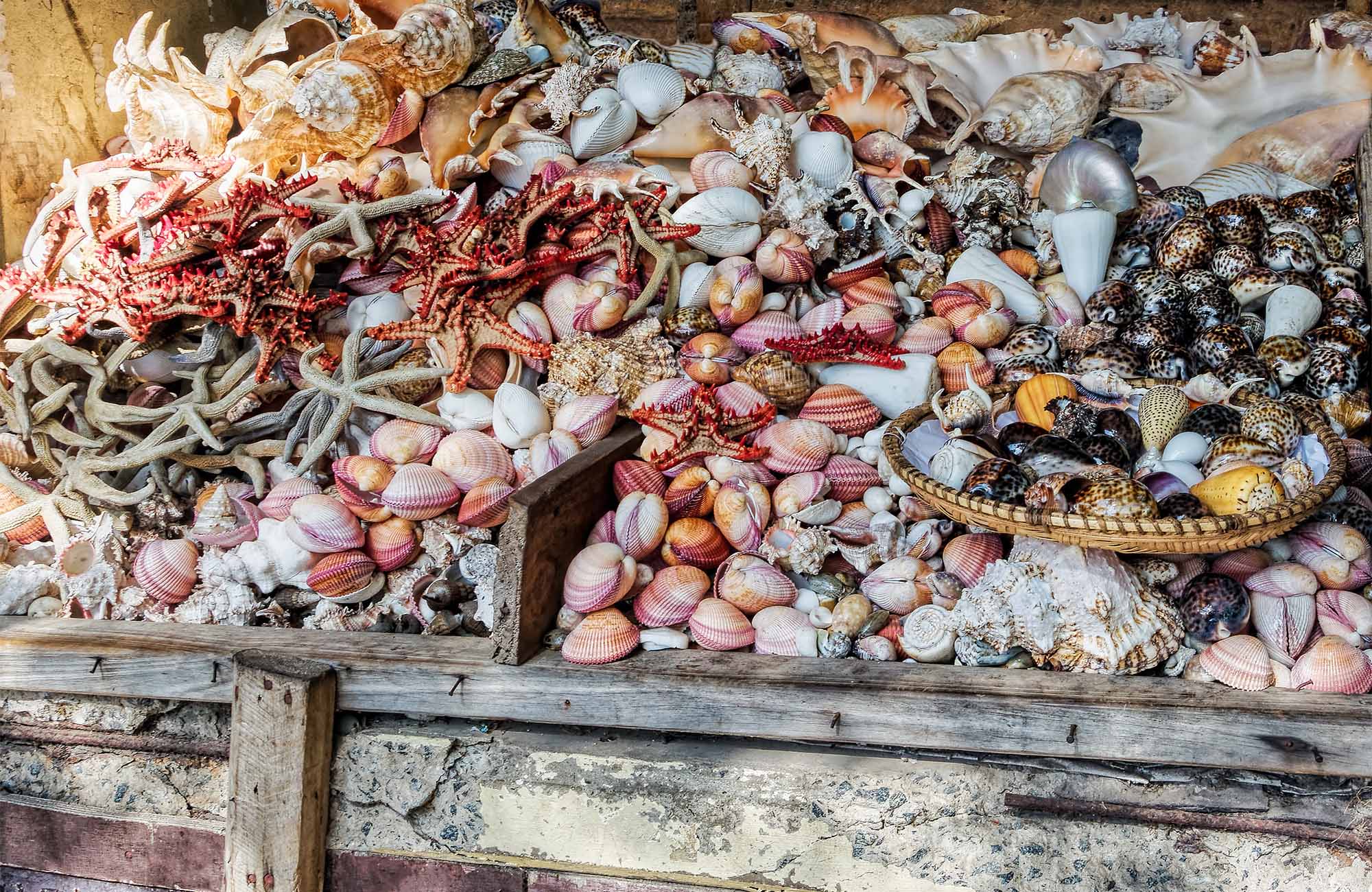 Reiser til Dar es Salaam - Backpacking i Afrika