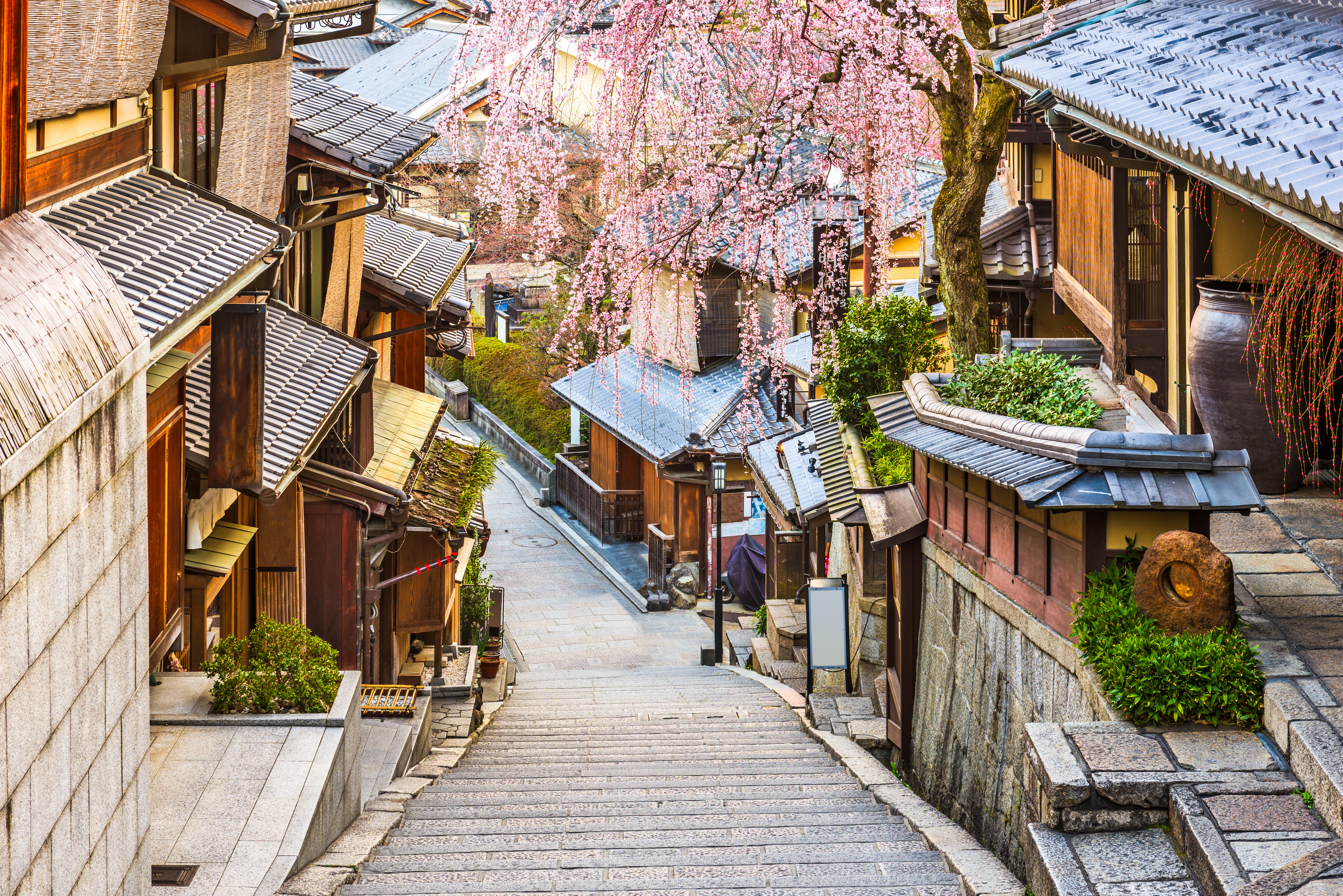 Higashiyama Shutterstock 613997048