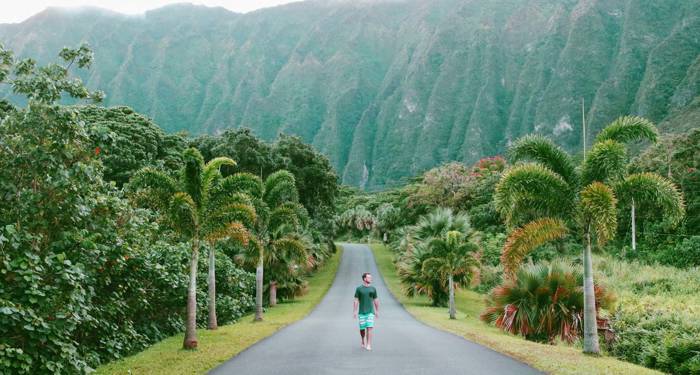 hawaii-man-road-cover