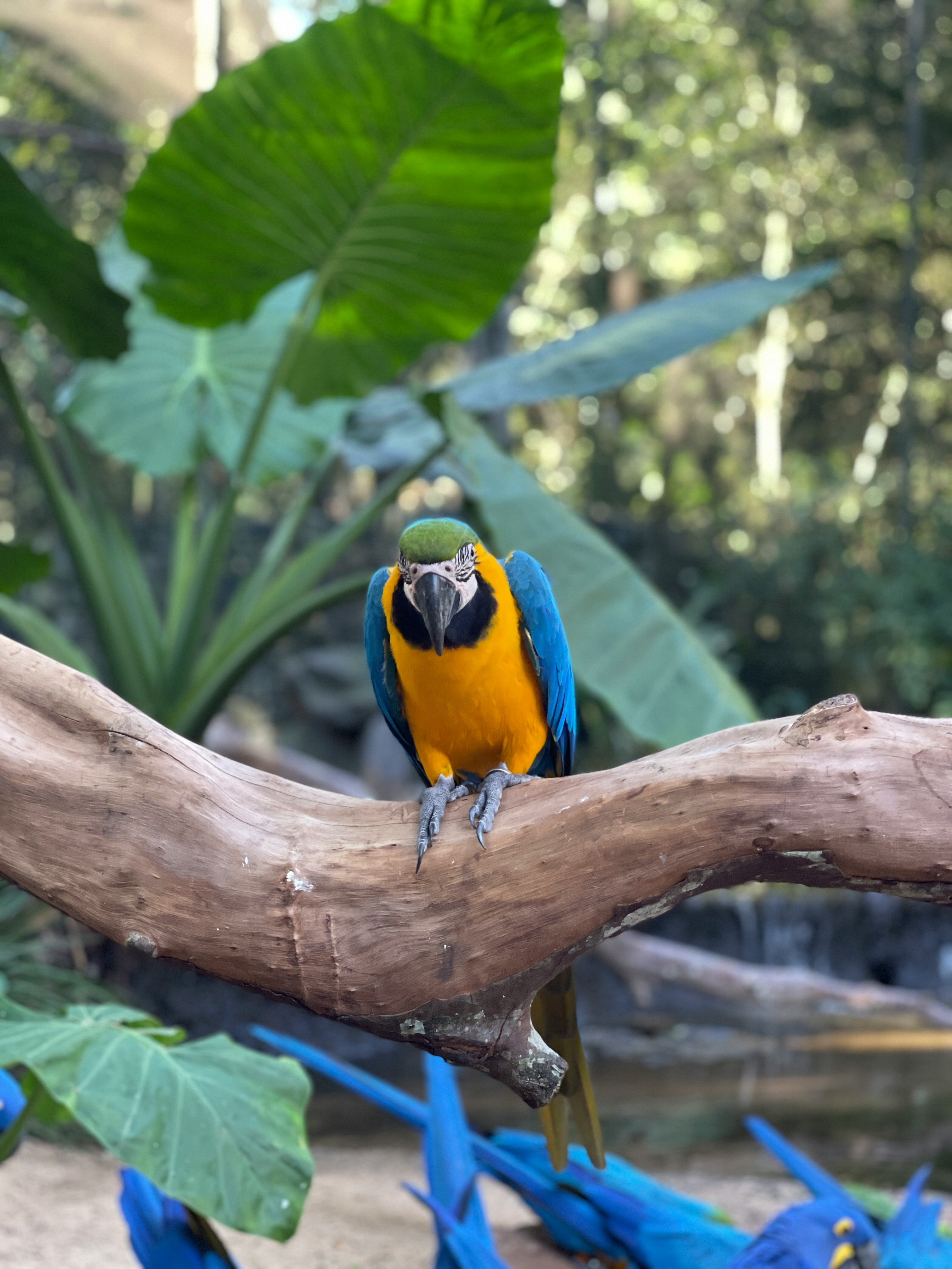 Lukas Souza 4Rid Gak2z4 Unsplash