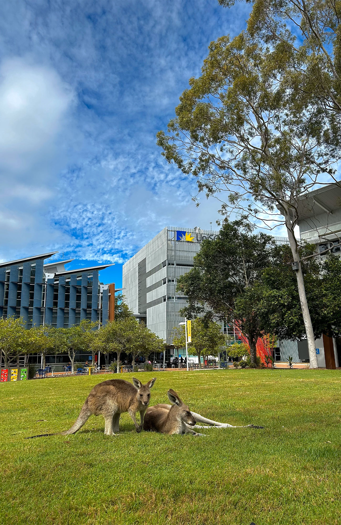 Studer på Sunshine Coast | Studier i Australia | Education Abroad