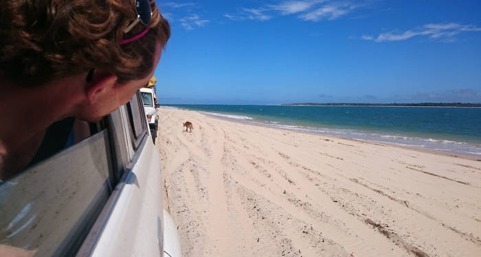 Fraser Island |  | Road trip i Australia | Road trip på østkysten | KILROY