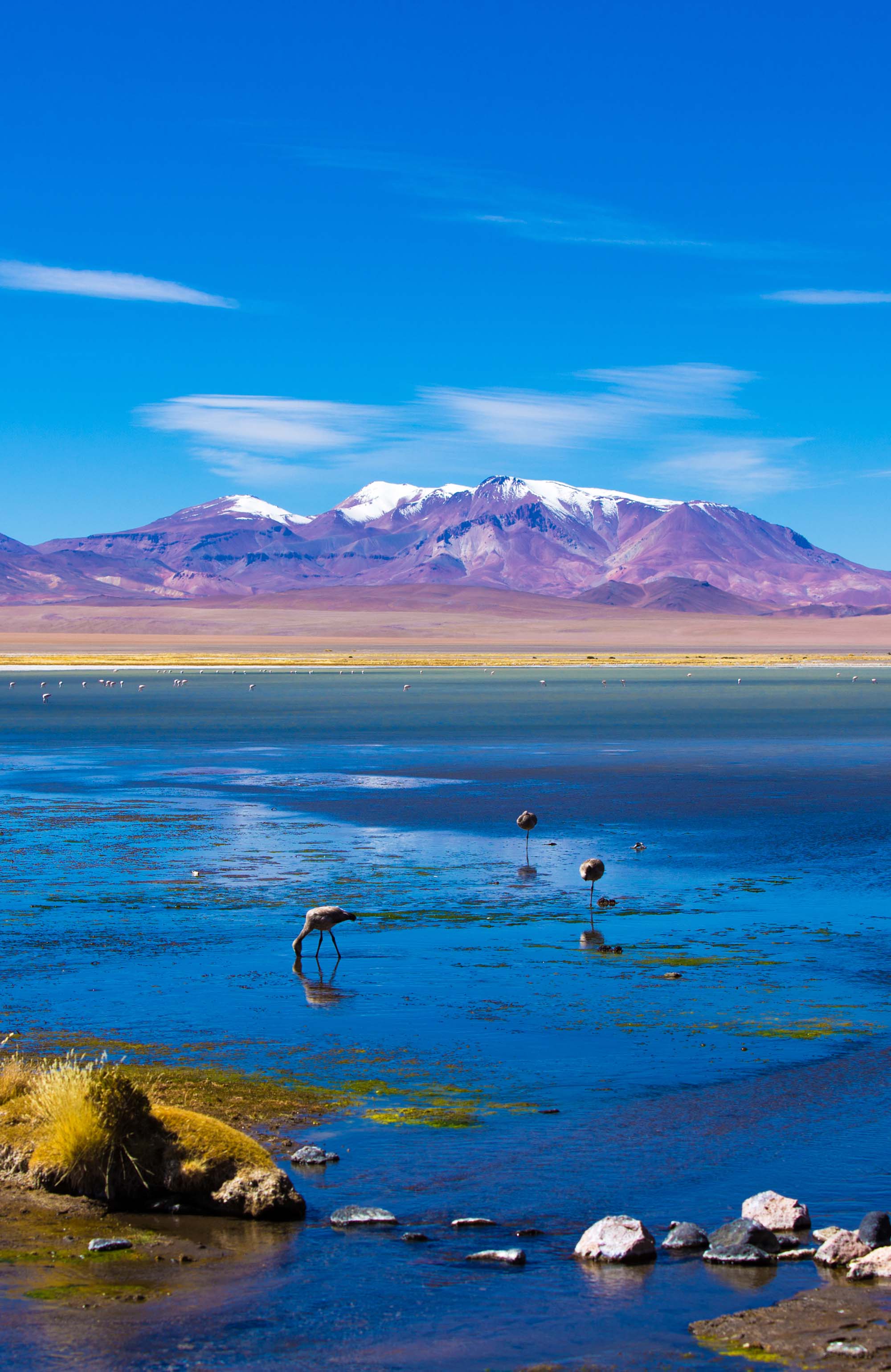 san-pedro-de-atacama-flamingo-lake-chile-sidebar