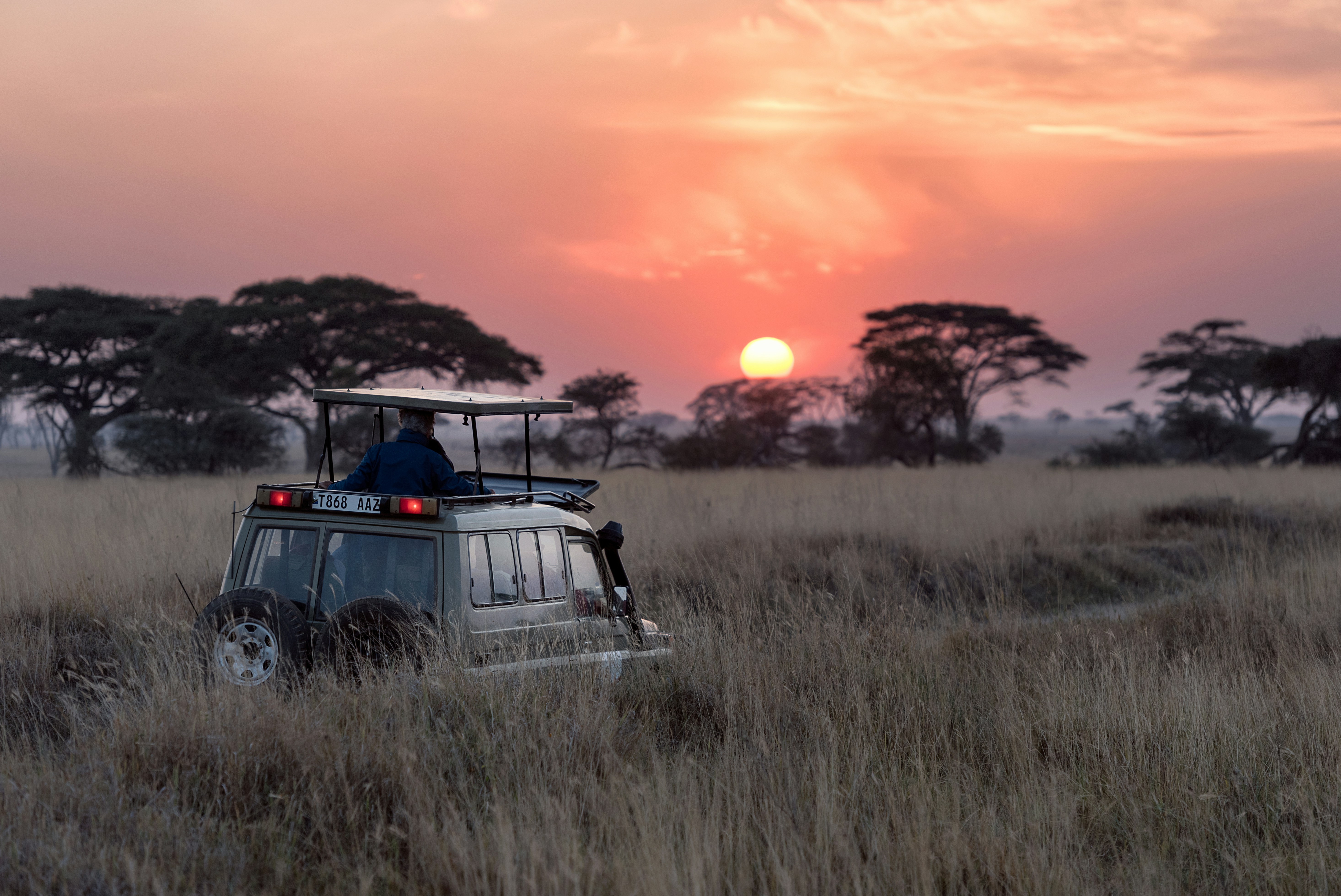 En safaribil på serengeti i solnedgang. Foto.
