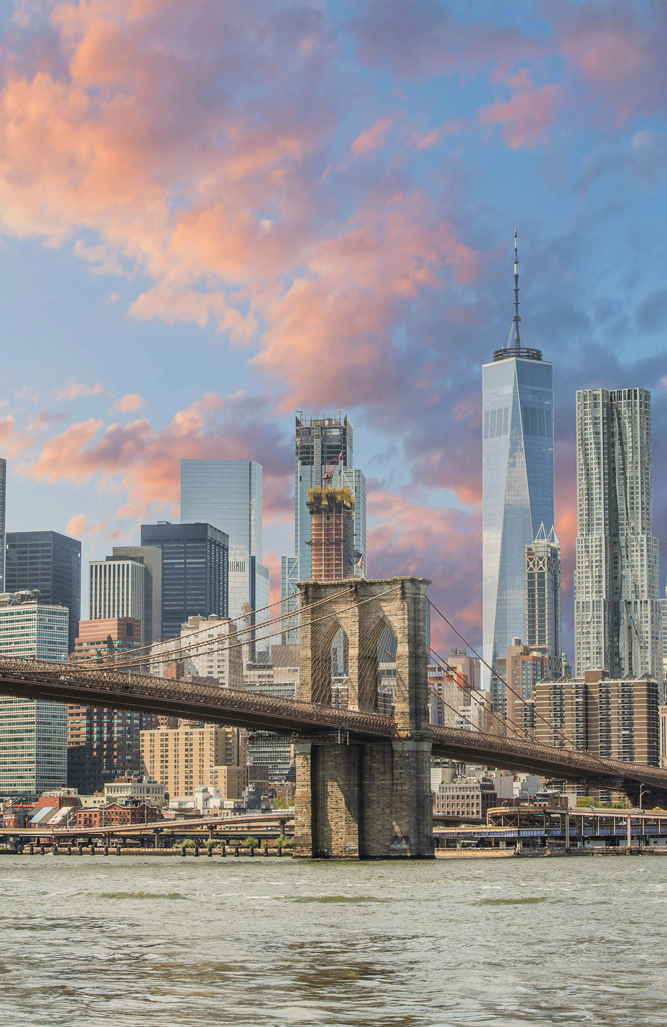 Årsstudium | Filmstudier i New York