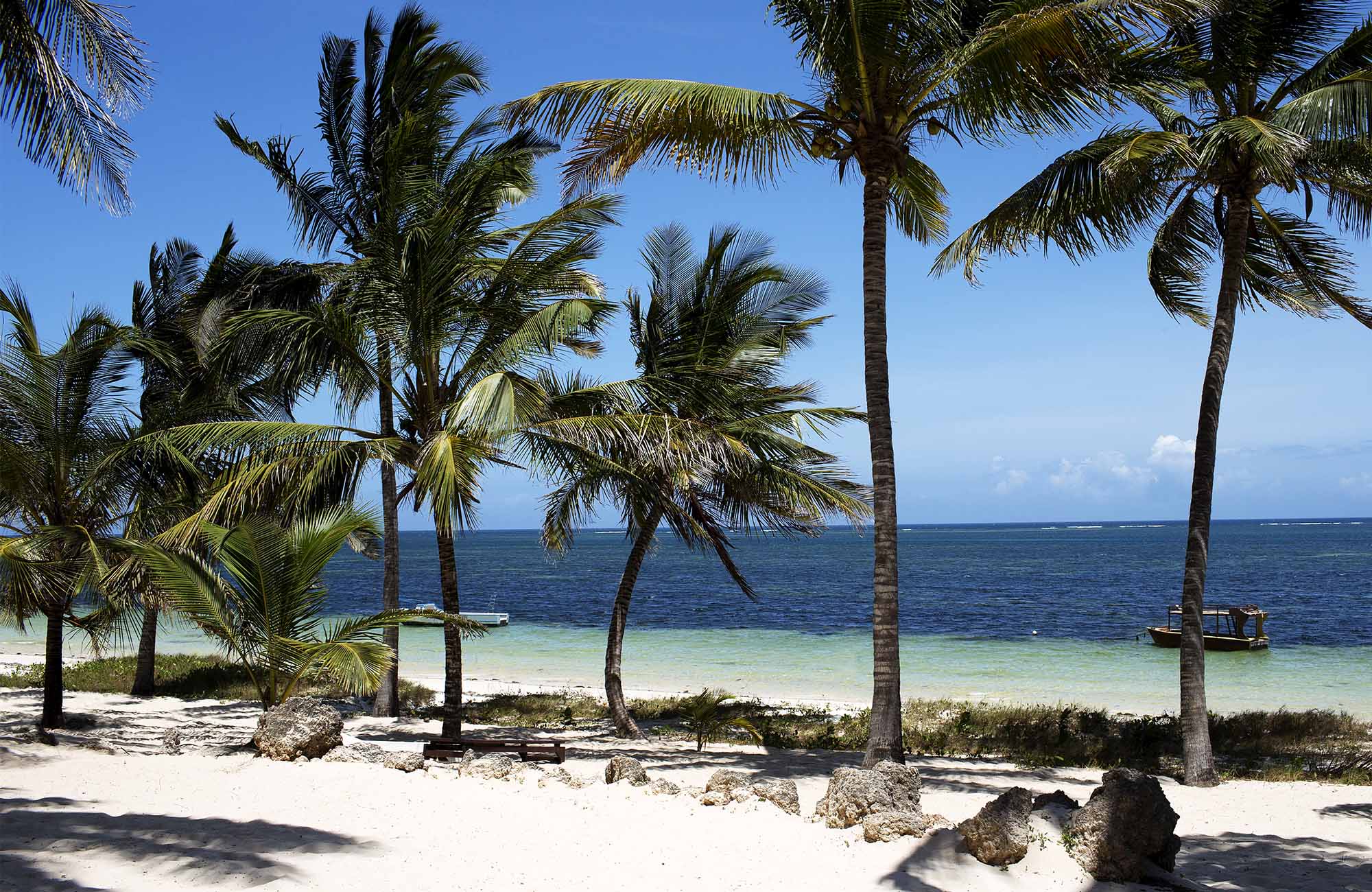 mombasa-kenya-beach-indian-ocean-palm-trees-cover