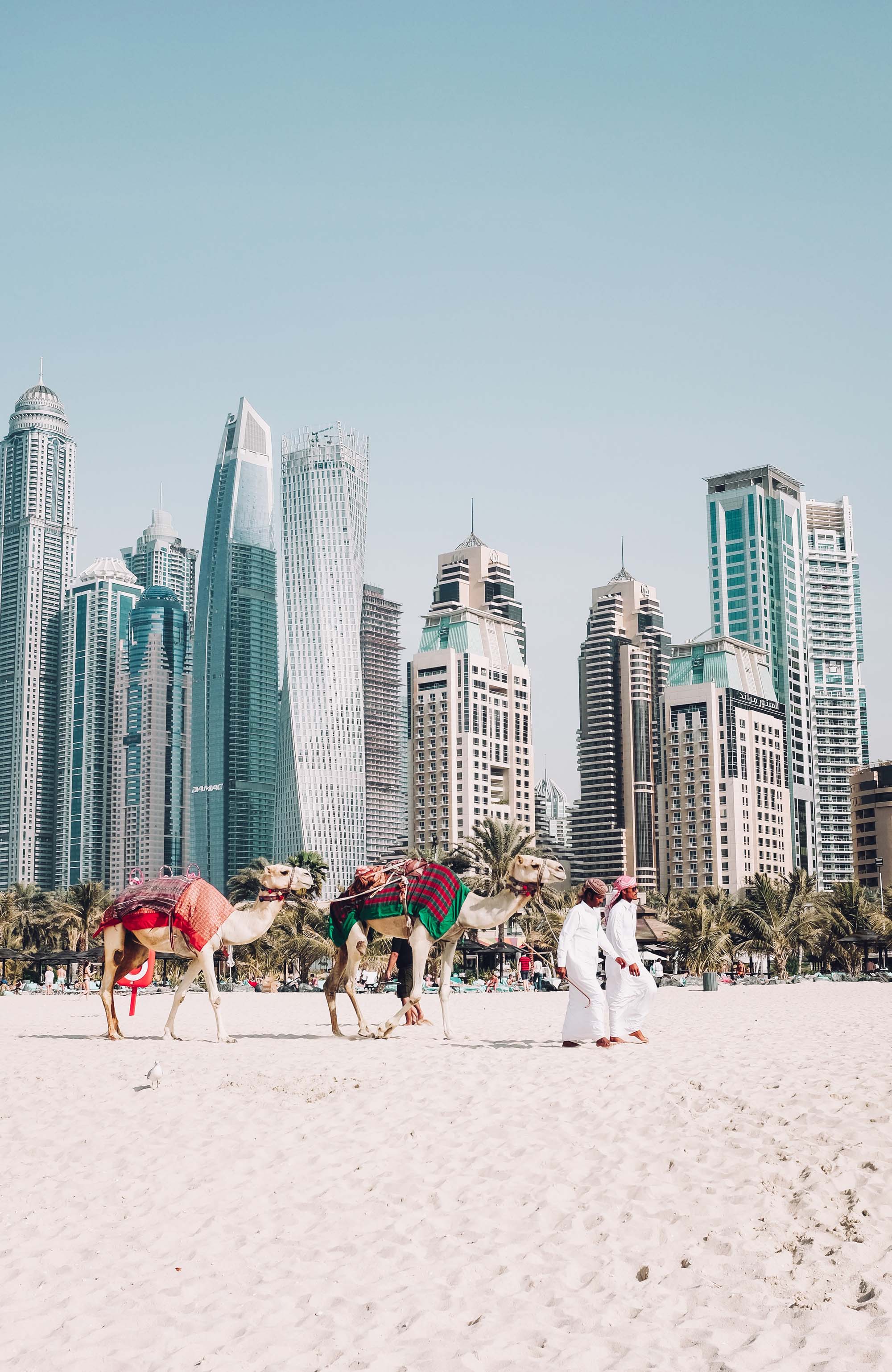 dubai-camels-men-sidebar