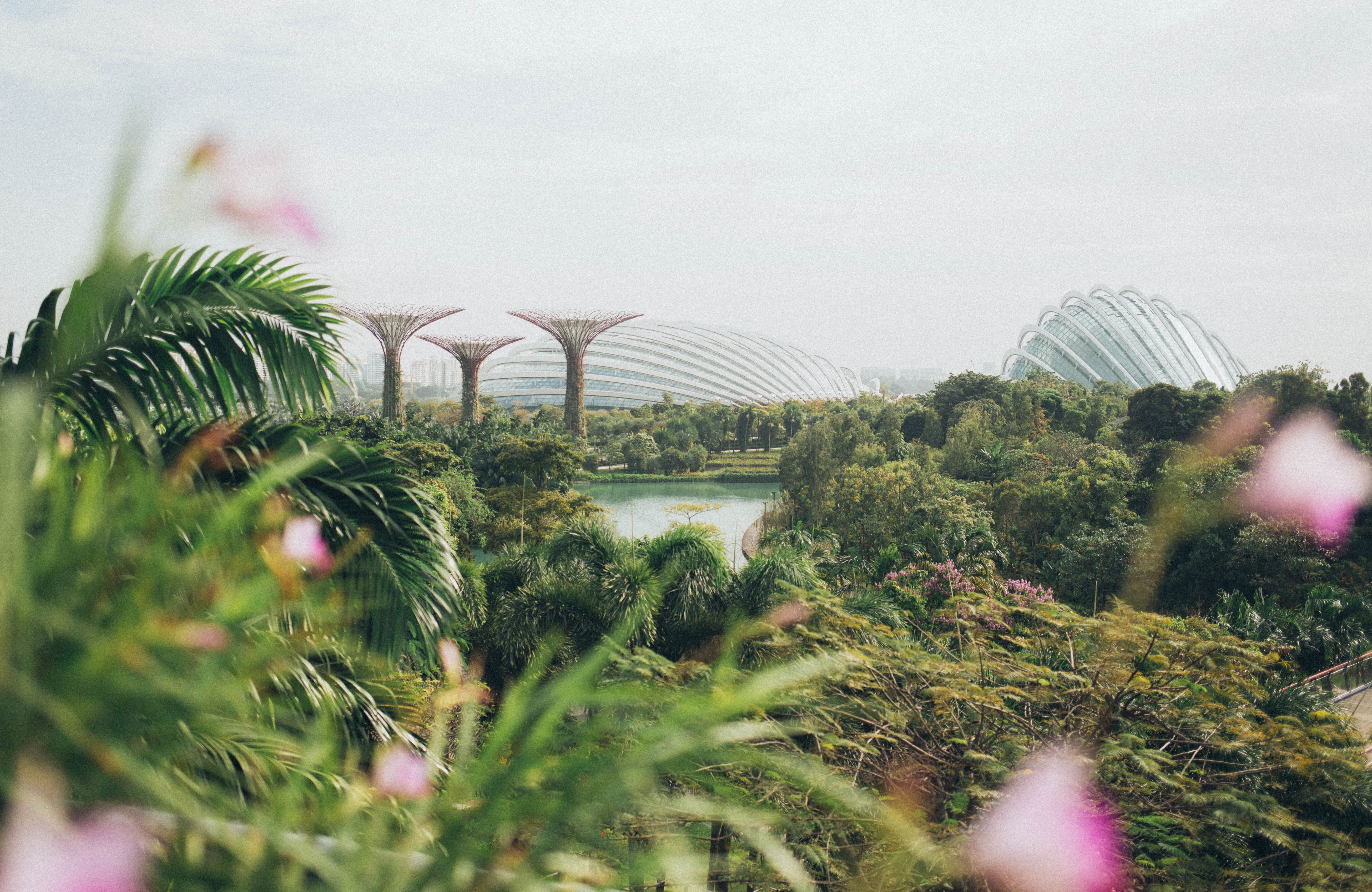 Utsikt over Gardens by the Bay i Singapore