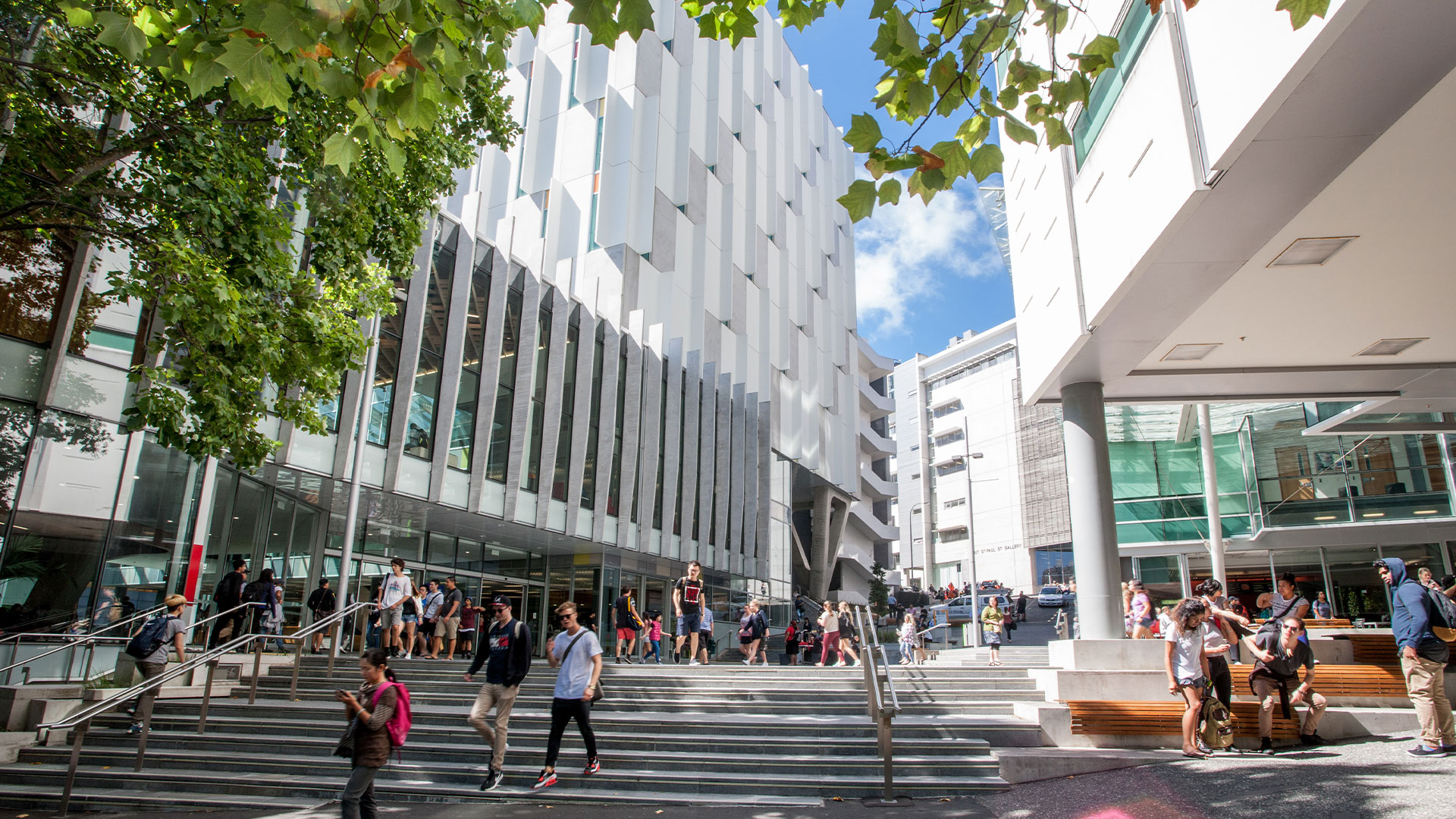 Studer i Auckland | Education Abroad