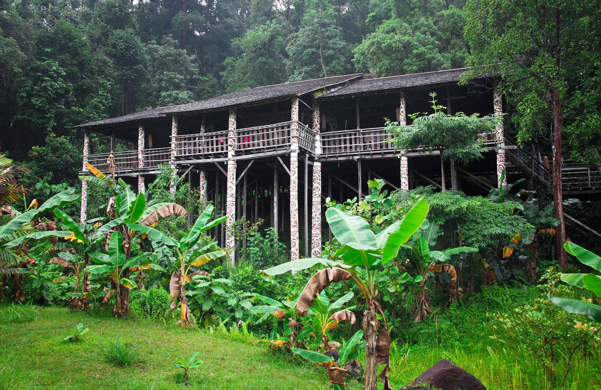 longhouse i borneo skogen
