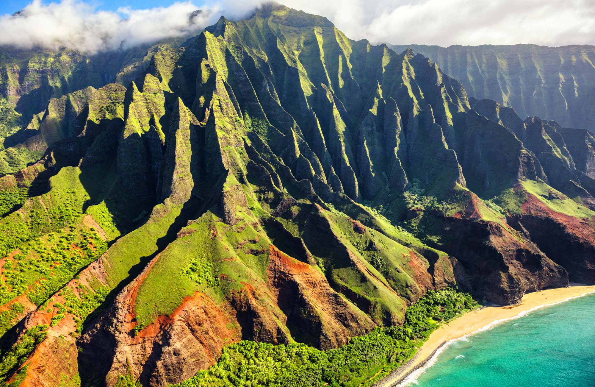 Årsstudium | Business og Ledelse på Hawaii