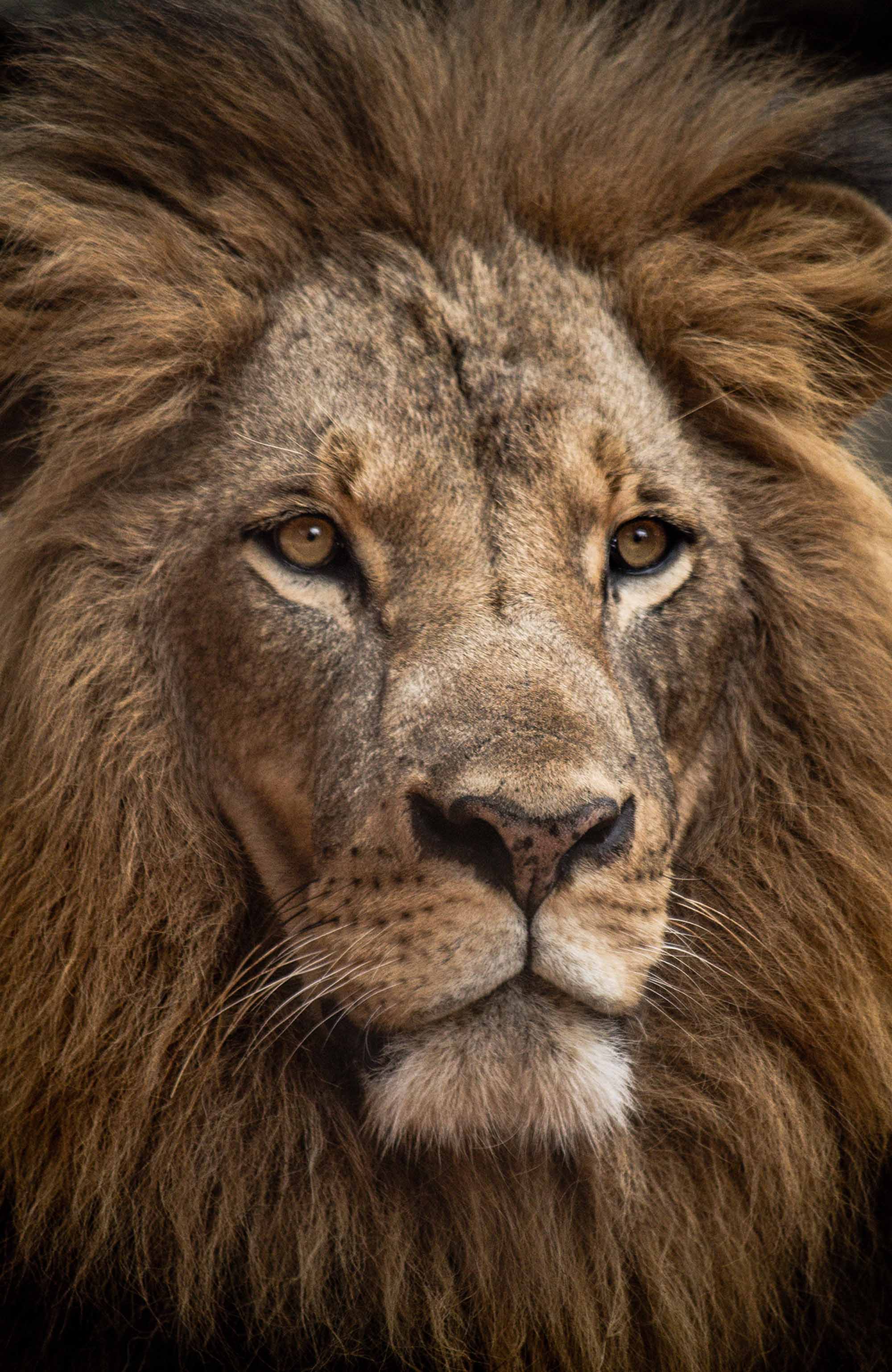 Reiser til Nairobi - Afrikas inngangsport