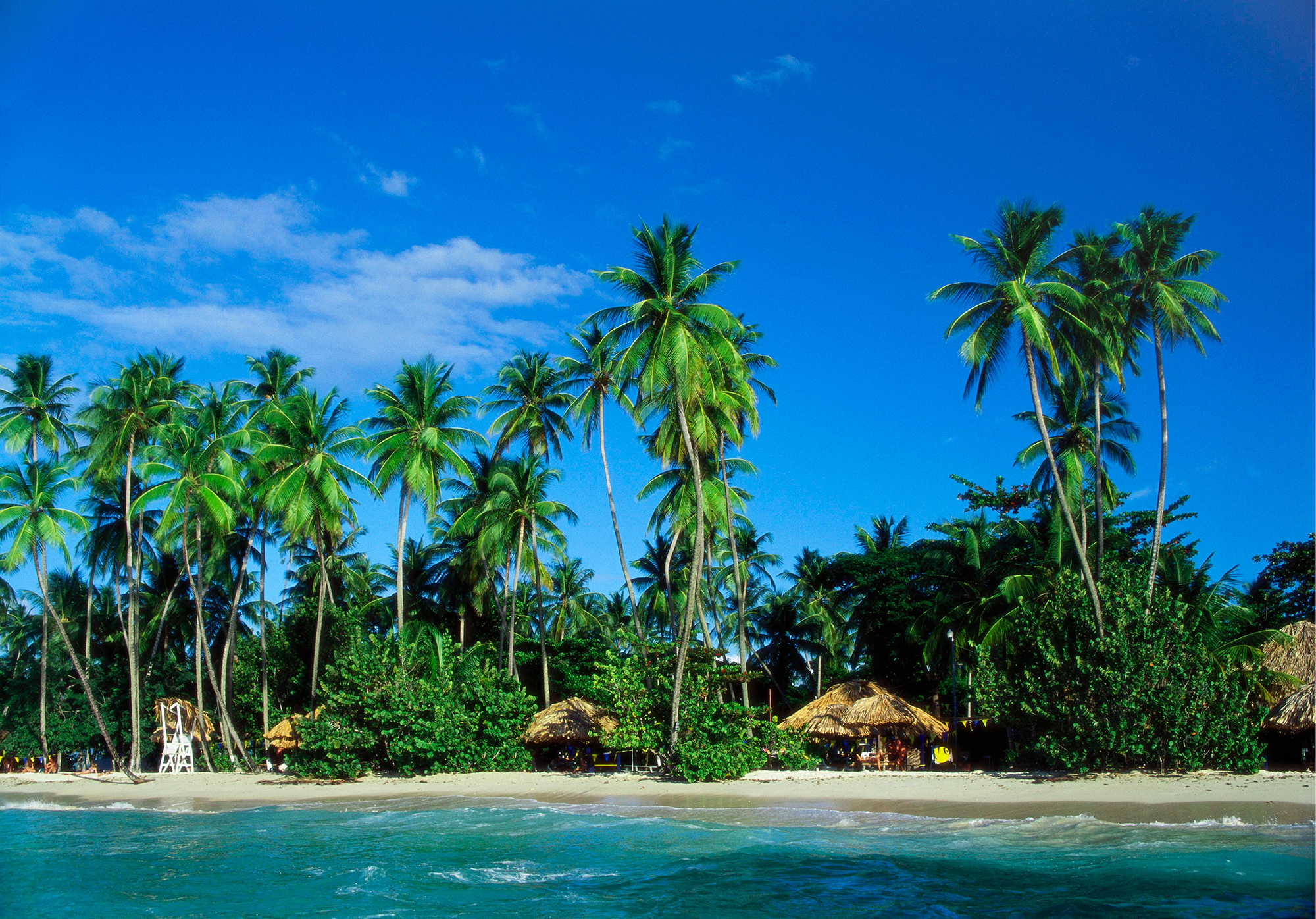 Shutterstock 2428227437