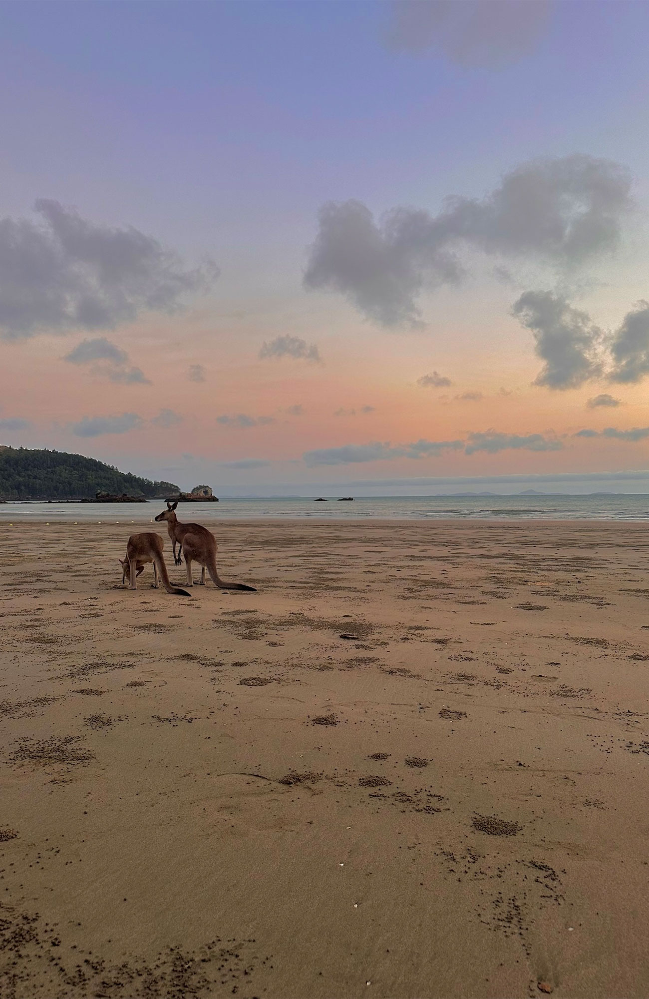 Studere i Australia | Studier i Australia