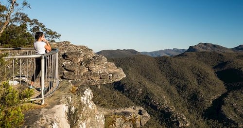 18401-bc276cd0-7ec5-4dce-8b32-8816c0e783f9-thumbnail