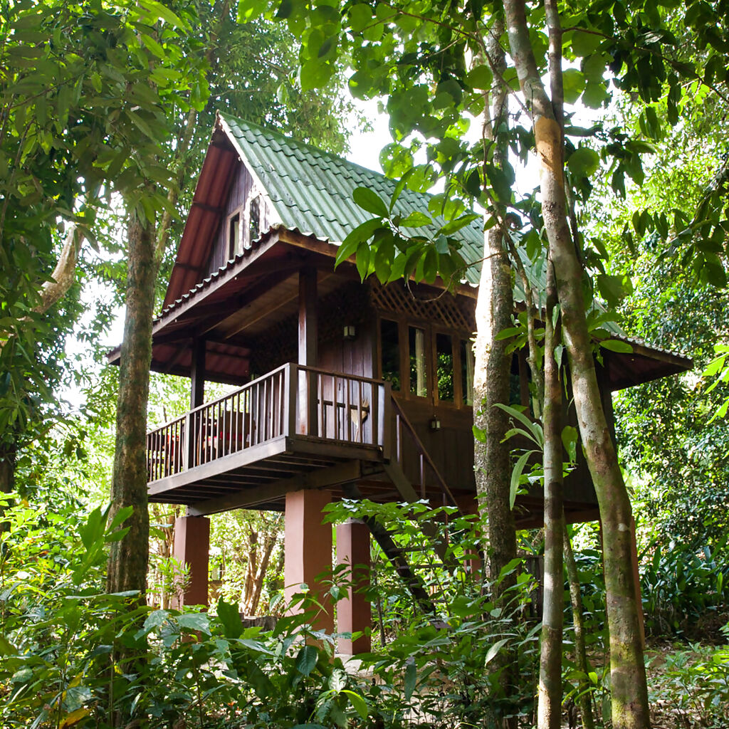 thai-house-quad-bungalow-our-jungle-house_gallery_full