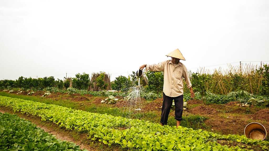 6eb9db8b109b1b2baeef7bc5e6e9c5cd