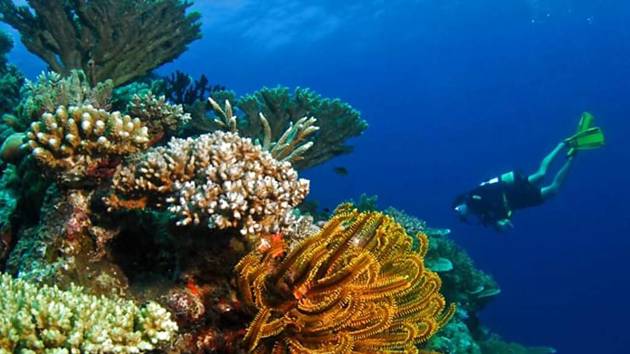 13_Australia_Great_Barrier_Reef