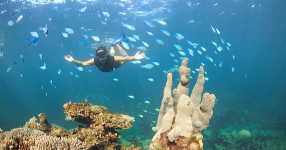 29835-fe1fa81b-663d-470b-8daf-b5e3fc94d149-thumbnail