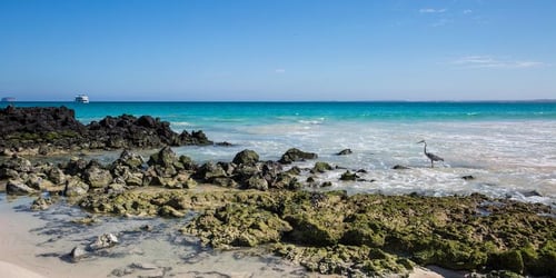 1d15c23721eb7a4a075ca1b468245914