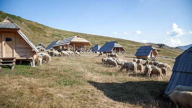 vranjak-katun-sheep-graze-among-the-huts_1280x720_for_navi_web