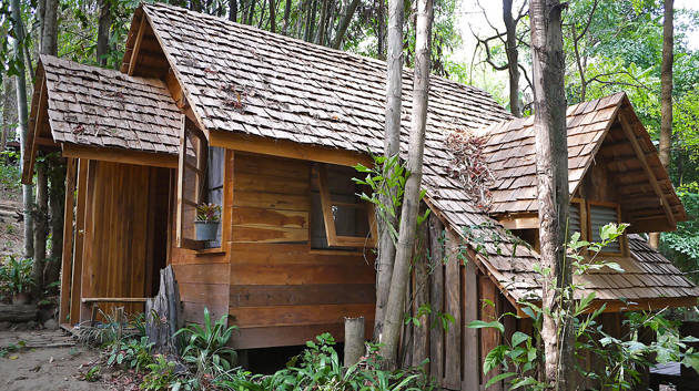 chiang-mai-countryside-treehouse-exper