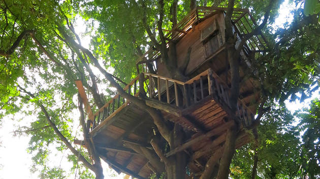 chiang-mai-countryside-treehouse-exper