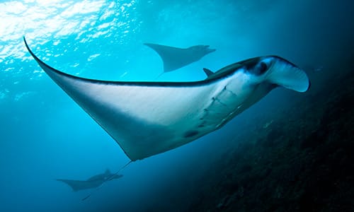 1_XML-Nusa-Lembongan_003