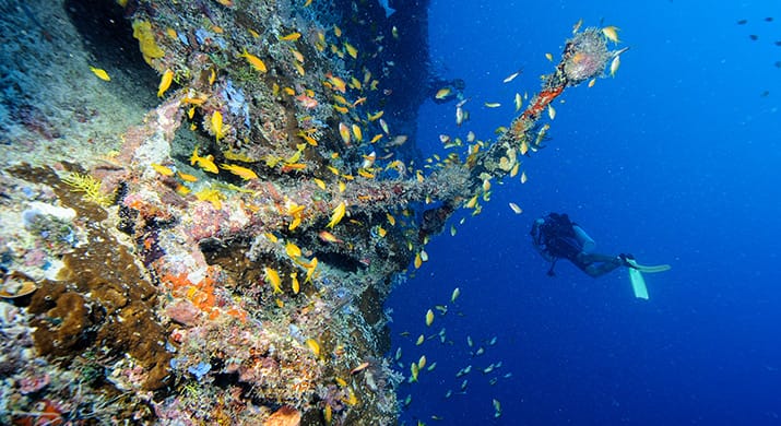 Zanzibar__0000s_0001s_0003_Udvalgte%20dykpics%20behandlet%2014