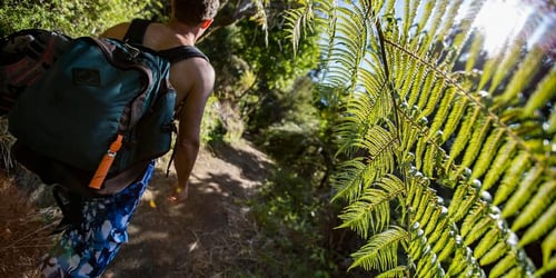 c417e2edfd7b449643d953a6838693a2