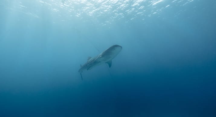 1_bv-product-web-gallery-056