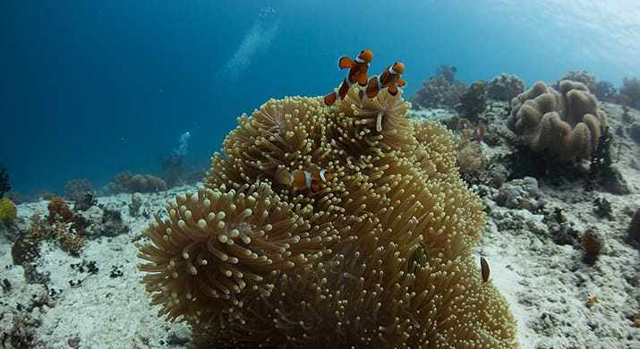 1_bv-product-web-gallery-025