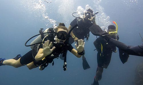 1_bv-product-XML_0000s_0002__DSC0642