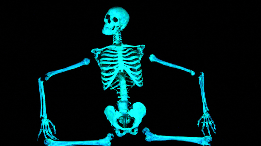 codan-prague-black-light-theater-image