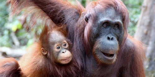 3ce383429302a3e69d48dd1ddcb99094