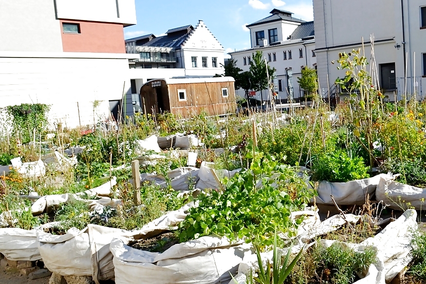 1972-green_prague_holesovice__prazelenina