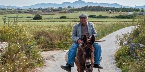 7e100e1424dcfb10350c60394aa151a0