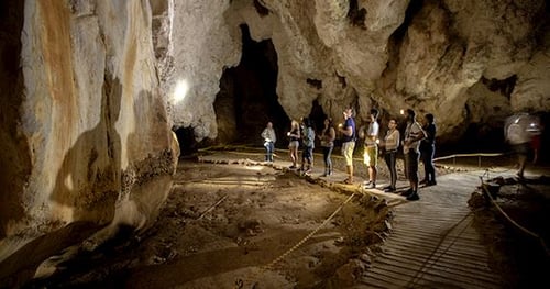 32290-eafe0f72-8494-42f4-b2ee-68cbf7e848a7-thumbnail