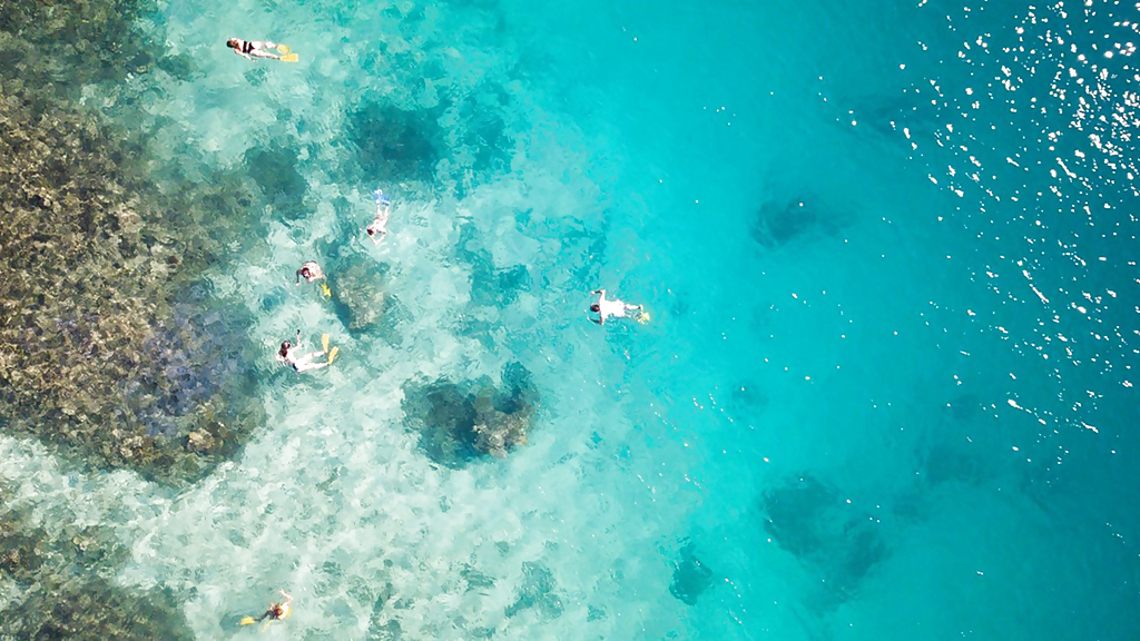 awesome_fiji_1_1280x720_for_navi_web