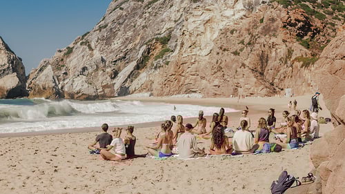 saltypelican_cascais1_1280x720_for_navi_web