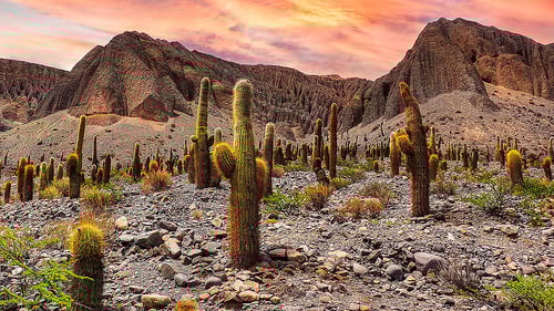 ar14_4_1280x720_for_navi_web