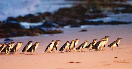 28203-1801350c-db7f-4c23-bdb9-5aeed63084a5-thumbnail