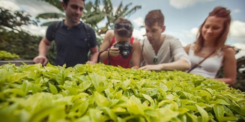 2376cb51c17b5859f6fd704330255aa6