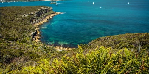 bf8adfc7c91d7870639f5c95caeade6f