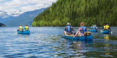 611d00ff3c06289fc90879e4ad0ea42c