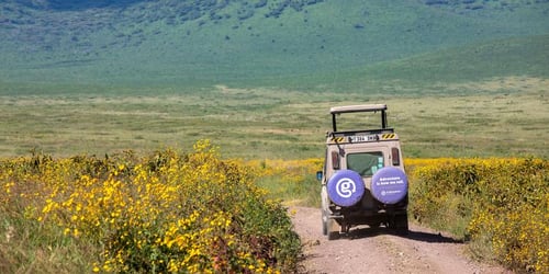 123809742fbbfca9ba57ccdb5c02c67c