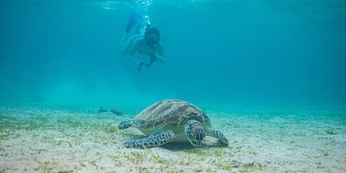 a375fbb9234b499b12cd758cb302580a